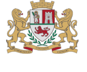 Opština Kotor